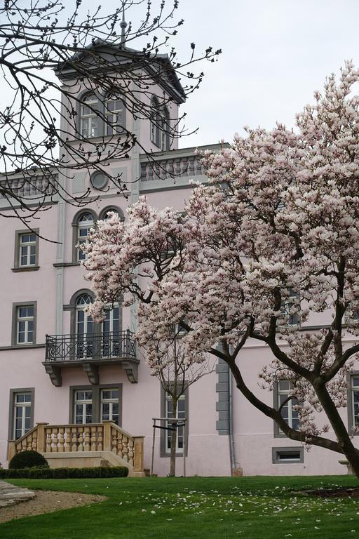 Rittergut Rottewitz Hotel Meißen Kültér fotó
